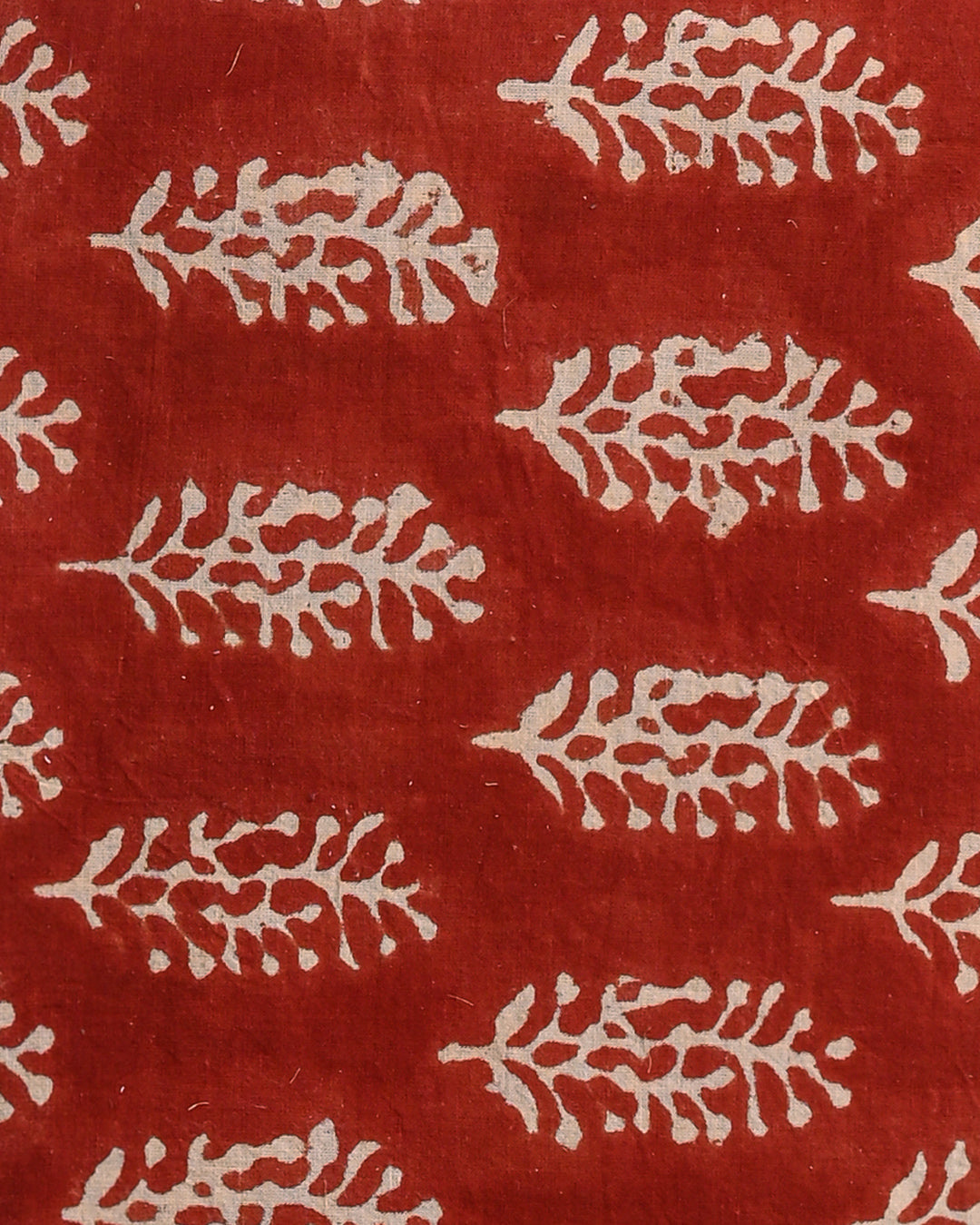 Traditional Hand Block Printed Cotton Suit With Chiffon Dupatta (BSCOTCH03)